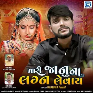 Mari Janu Na Lagan Levay image