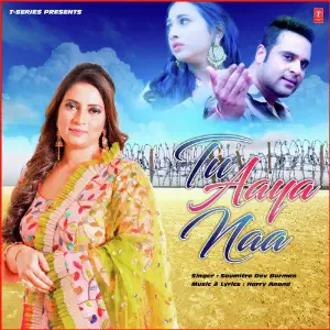 Tu Aaya Naa image