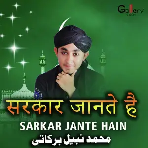 Sarkar Jante Hain image