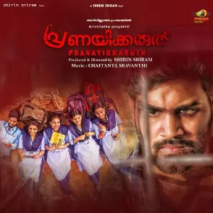 Pranayikkaruth image