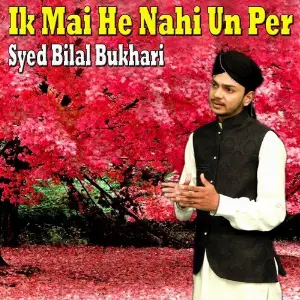 Ik Mai He Nahi Un Per image