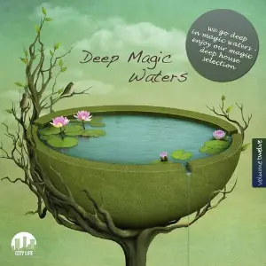 Deep Magic Waters, Vol. 12 image