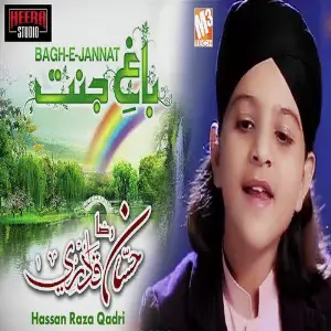 Bagh E Jannat - Single image