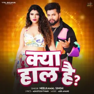 Kya Haal Hai image