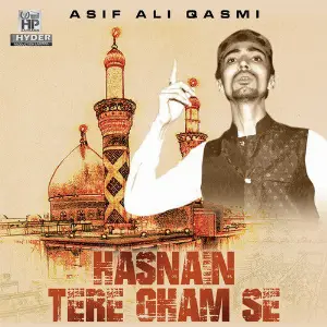 Hasnain Tere Gham Se image