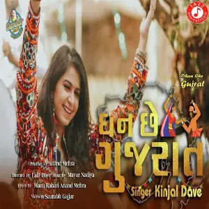 Dhan Che Gujarat image