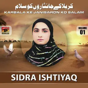 Karbala Ke Janisaron Ko Salam, Vol. 1 image