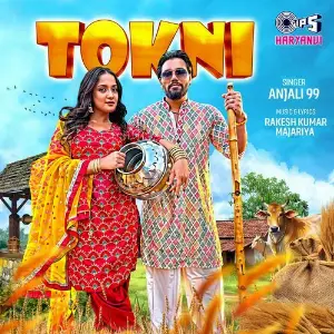 Tokni image