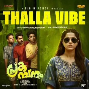Thalla Vibe (From Prakambanam) image