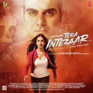 Tera Intezaar image