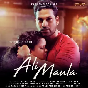 Hits Of Bebo Ali Aslam