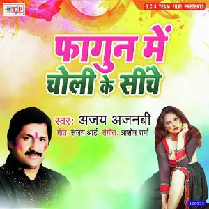 Fagun Me Choli Ke Siche image