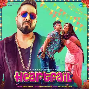 Heartfail image