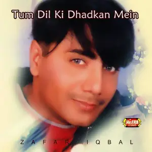 Tum Dil Ki Dhadkan Mein image