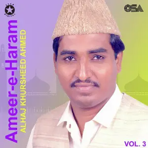 Ameer-e-Haram, Vol. 3 image