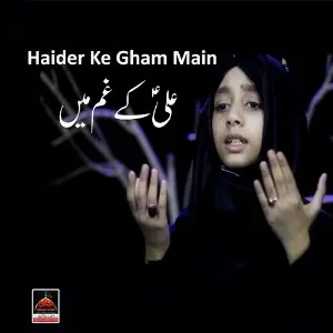 Haider Ke Gham Main image