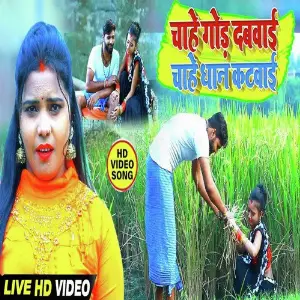 Chahe God Dabwai Chahe Dhan image