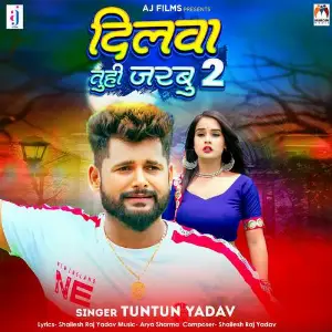 Dilwa Tuhi Jarbu 2 image