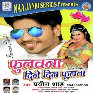 Fulavana Dine Din Fulata image