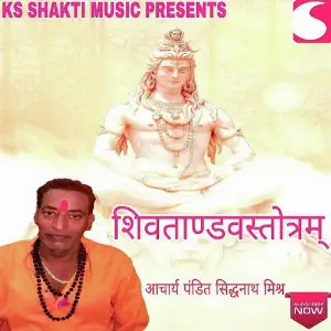 Shiv Tandav image