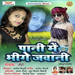 Pani Me Bheege Jawani image