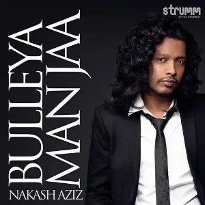 Bulleya Man Jaa image
