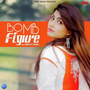 Bomb Figure - Single Sandeep Chandel