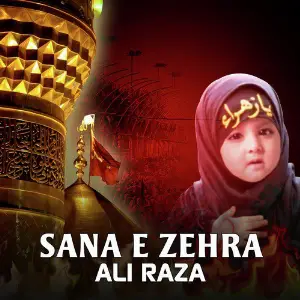 Sana E Zehra - Single image