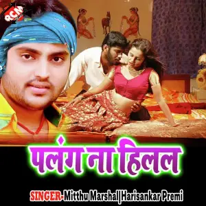 Palang Na Hilal image