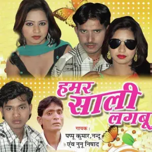 Hamar Saali Lagbu image