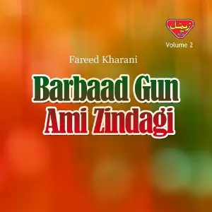 Barbaad Gun Ami Zindagi, Vol. 2 image