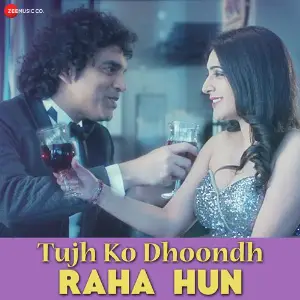 Tujh Ko Dhoondh Raha Hun image