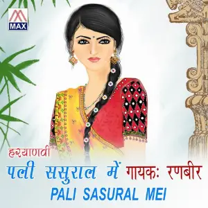 Pali Sasural Mei image
