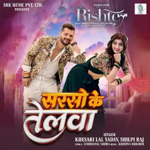 Sarso Ke Telwa (From Rishtey) image