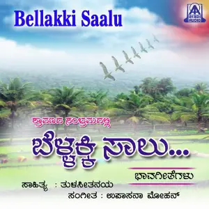 Bellakki Saalu image