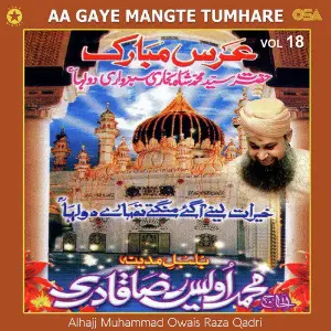 Aa Gaye Mangte Tumhare, Vol. 18 image