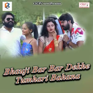 Bhauji Bar Bar Dekhe Tumhari Bahana image