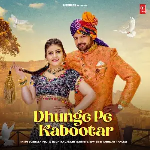 Dhunge Pe Kabootar image