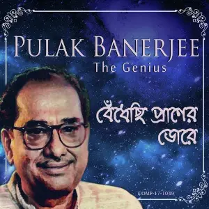 Bendhechhi Praaner Dorey - Pulak Banerjee the Genius image