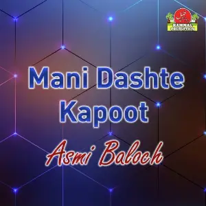 Mani Dashte Kapoot image