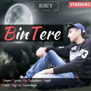 Bin Tere image