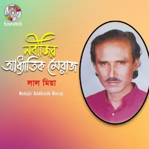 Nobijir Addhatik Meraj image