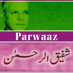 Parwaaz image