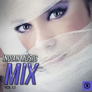 Indian Music Mix, Vol. 12 image