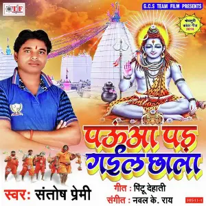 Pauwa Pad Gail Chhala image