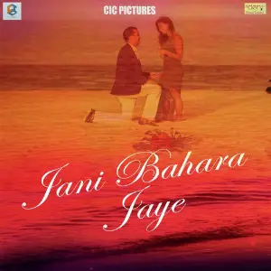Jani Bahara Jaye image