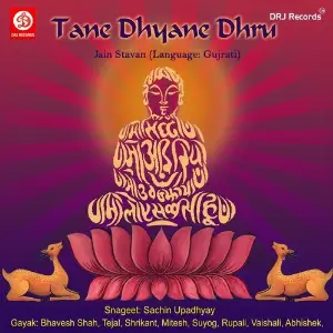 Tane Dhyane Dhru image