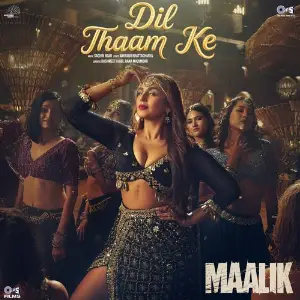 Dil Thaam Ke (From Maalik) image