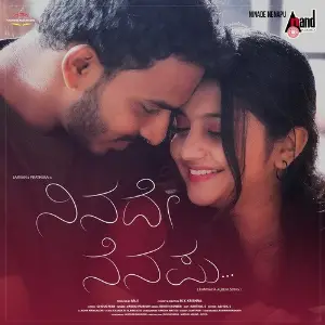 Ninade Nenapu image