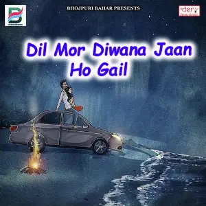 Dil Mor Diwana Jaan Ho Gail Various Artists